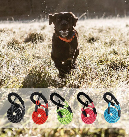 5 FT Leash With Comfortable Padded Handle and Reflective Threads
