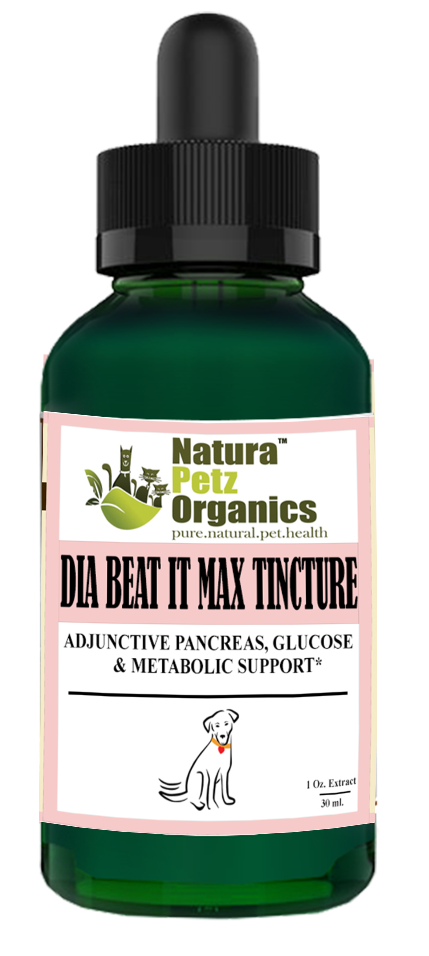 Max Tincture Extract* - Adjunctive Pancreas, Blood Glucose & Metabolic Support*