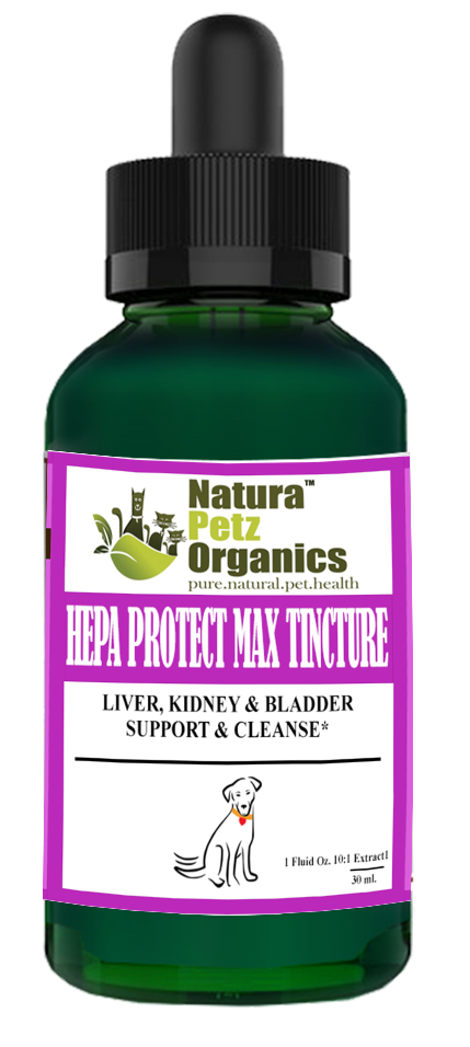 Hepa Protect Max Tincture* Master Blend Liver Kidney & Bladder Support & Cleanse 10:1 Extract*