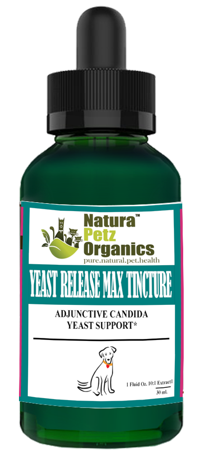 Yeast Release Max Tincture* Adjunctive Candida Yeast & Immune Support* Dogs Cats