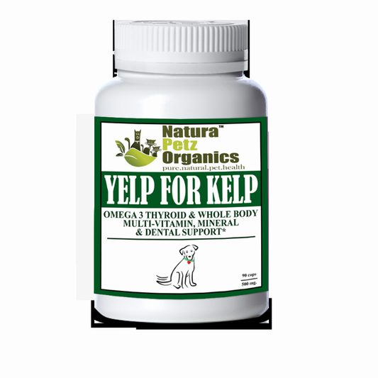 Yelp For Kelp - Omega 3 & 6 Thyroid & Whole Body Multi-Mineral, Vitamin & Dental Support*